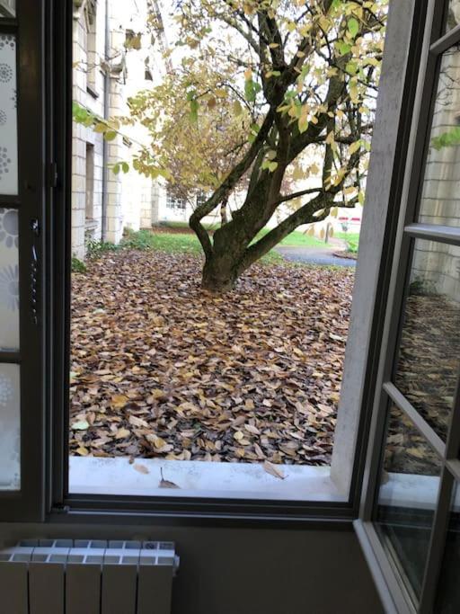 Superbe Appartement Saumur Eksteriør billede